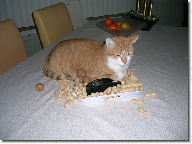 Klik hier voor de originele foto